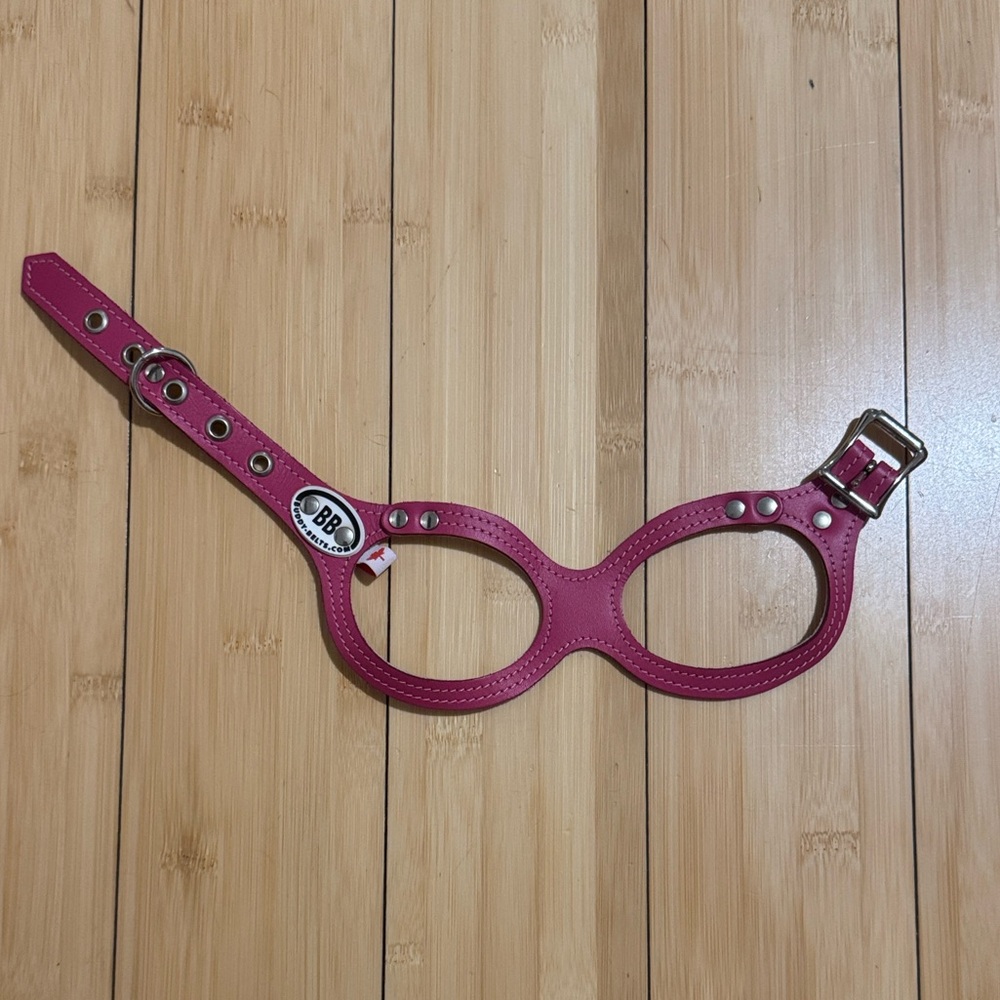 Buddy belt dog harness
